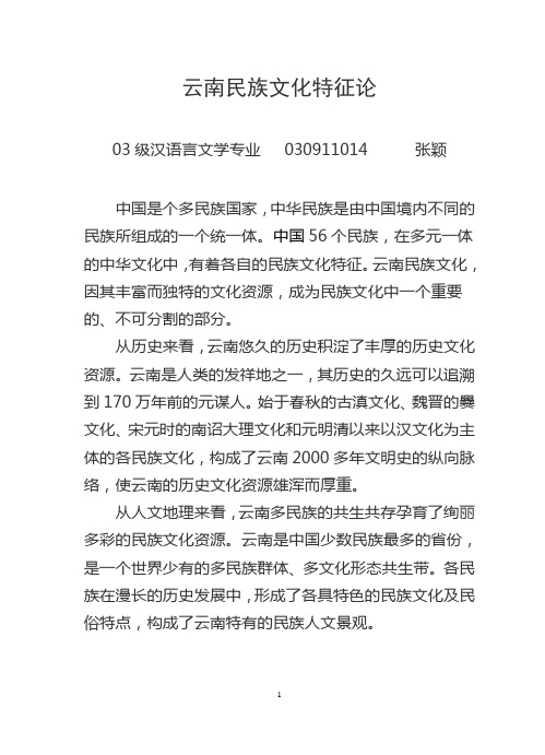 云南民族文化特征论