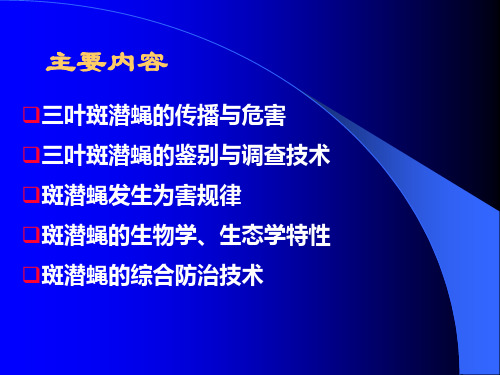 三叶斑潜蝇培训82页PPT