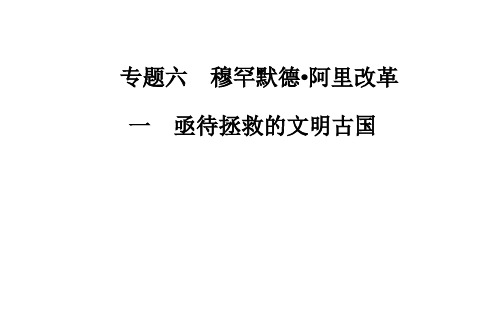 《亟待拯救的文明古国》课件 01