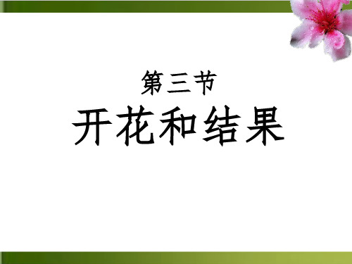 人教版初中生物七上3. 开花和结果 优秀PPT (35页)(推荐)