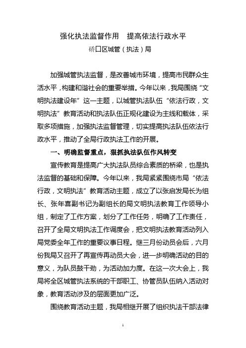 强化执法监督作用  提高依法行政水平(硚口)