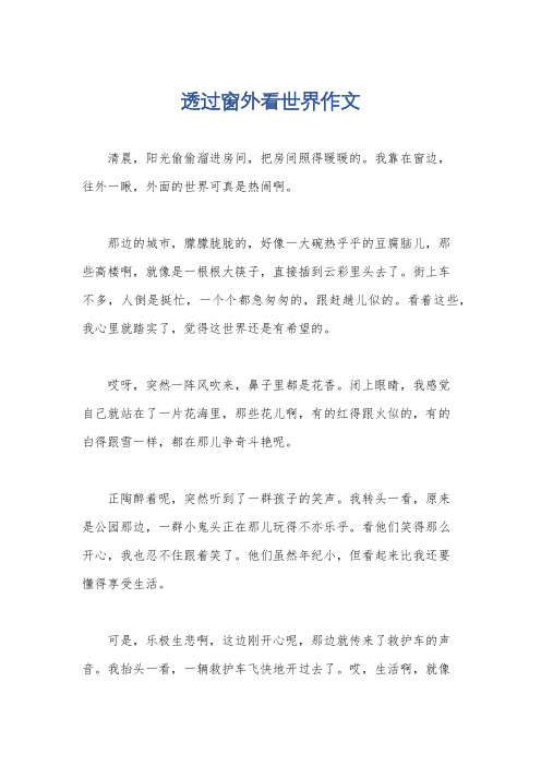透过窗外看世界作文