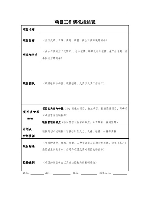 项目工作情况描述表
