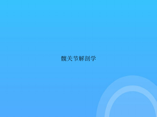 【实用资料】髋关节解剖学PPT