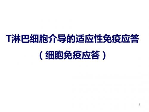 免疫2015课件细胞免疫应答yin-精品文档