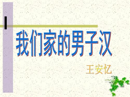 《我们家的男子汉》优选公开课精品PPT