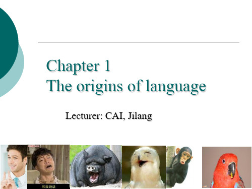 语言学：Chapter 1 The origins of language