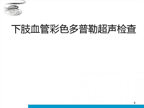 下肢动脉讲课稿PPT课件