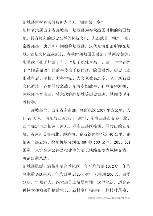 郯城县新村乡为何被称为“天下银杏第一乡”