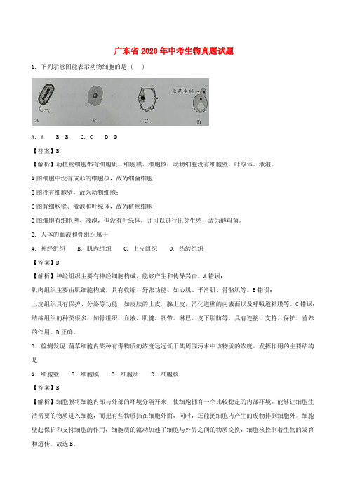广东省2020年中考生物真题试题(含解析)(1)