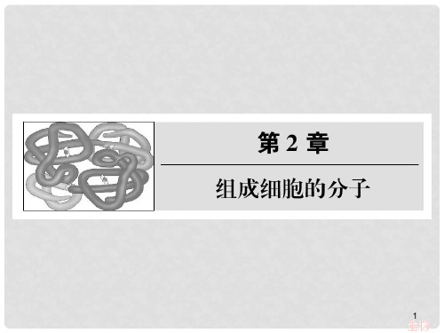 高考生物一轮复习 第二章 组成细胞的分子课件 新人教版必修1