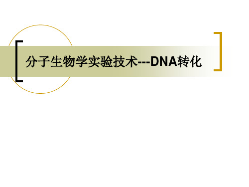 分子生物学实验技术_DNA转化