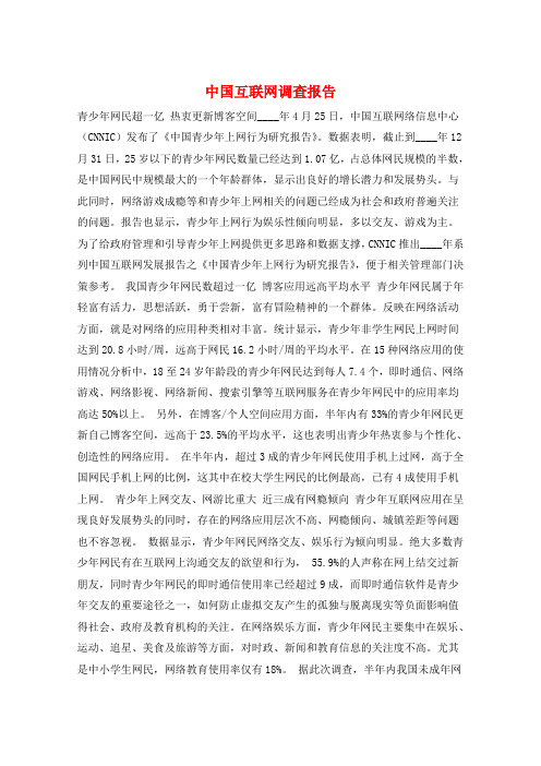 中国互联网调查报告