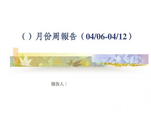 品质周报表格式