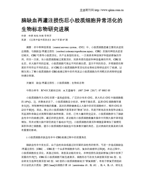 脑缺血再灌注损伤后小胶质细胞异常活化的生物标志物研究进展
