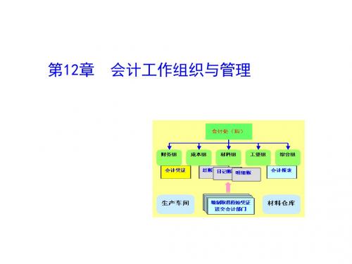 会计工作管理与组织(ppt 28页)