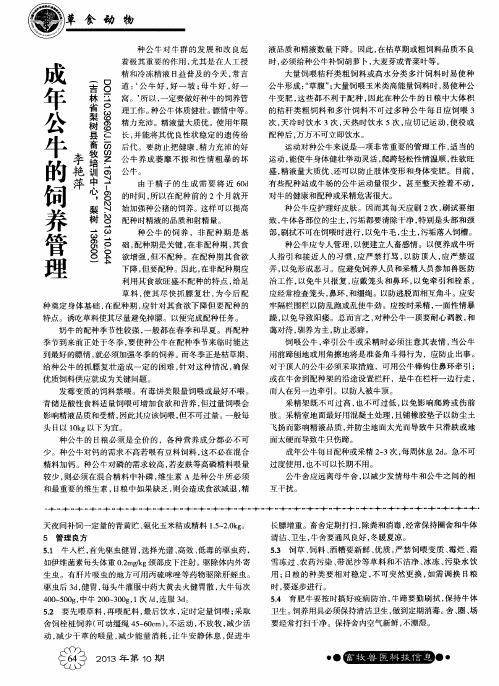 成年公牛的饲养管理