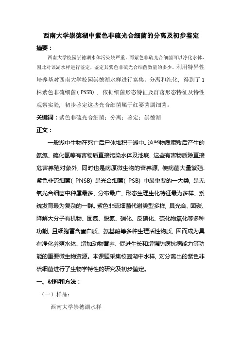 西南大学崇德湖中光合细菌的分离及初步鉴定