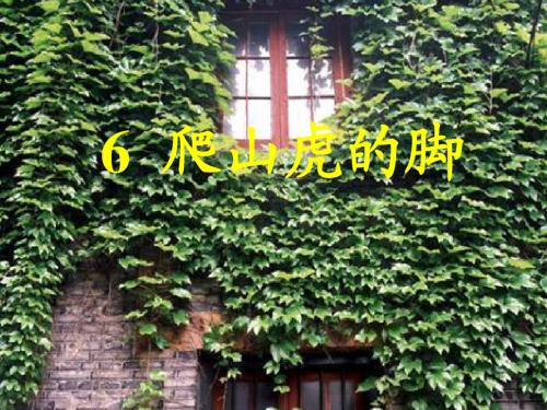 6爬山虎的脚PPT