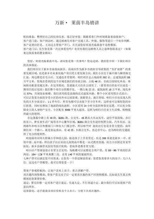 万新莱茵半岛销讲