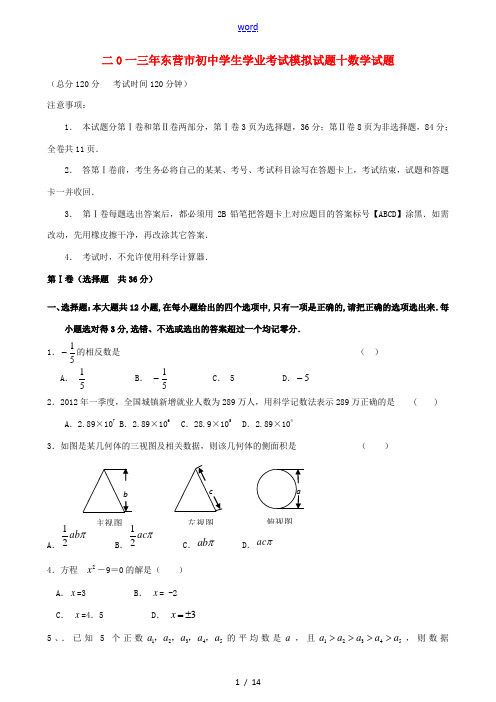 山东省东营市2013年初中数学学生学业考试模拟试题十