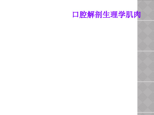 口腔解剖生理学肌肉
