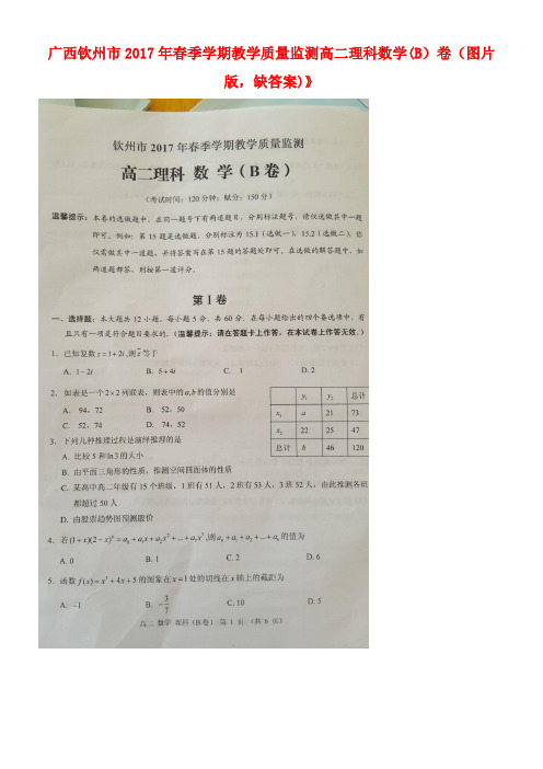 广西钦州市高二数学下学期期末教学质量监测卷(B)理(扫描版,无答案)(1)