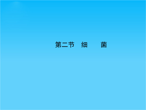 秋八年级生物上册 第五单元 第四章 第二节 细菌课件 (新版)新人教版