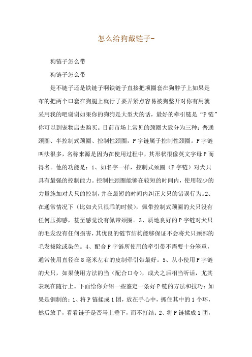怎么给狗戴链子--狗链子怎么带