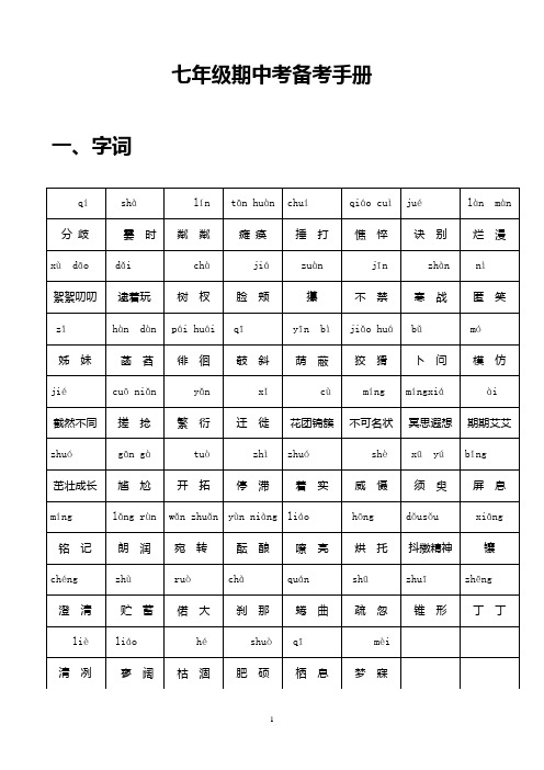 2013年11月七年级期中考语文复习资料