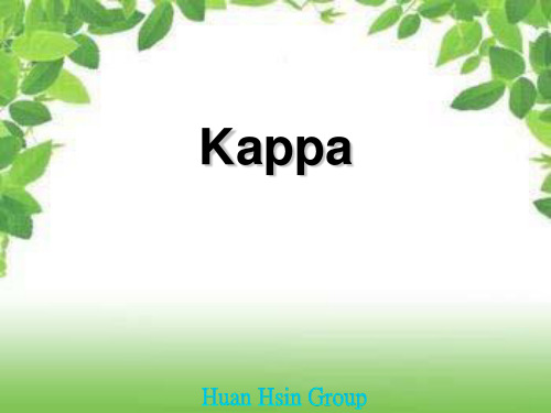 表单Kappa量测能力评价指标