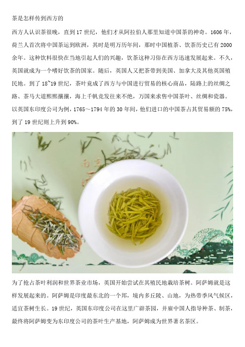 茶是怎样传到西方的