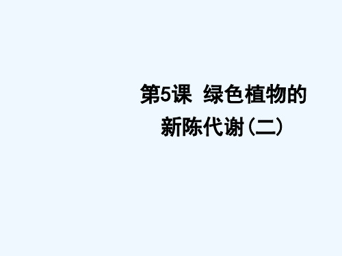 中考科学一轮复习植物的新成代谢精品课件浙教版