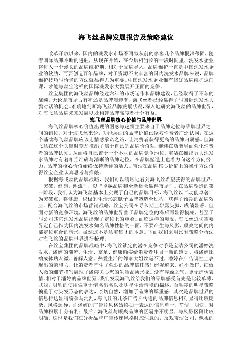 海飞丝年度品牌评估报及策略建议