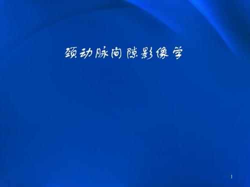 颈动脉间隙肿瘤影像学表现及鉴别ppt课件