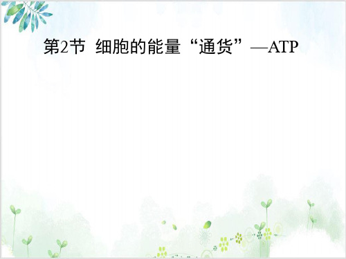 人教版生物必修一第五章-细胞的能量通货—ATP(21张)-PPT优秀课件