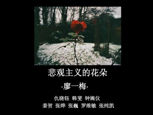 廖一梅