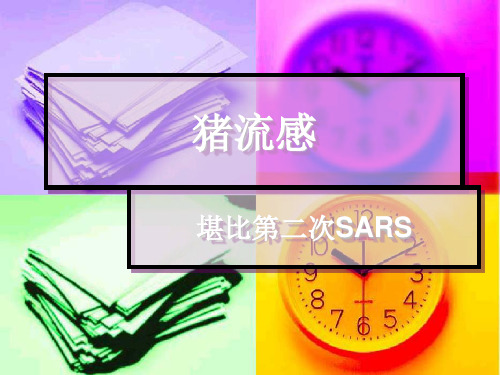 认识猪流感病毒ppt