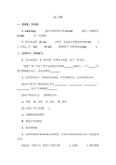 人教部编版四年级下册语文一课一练 11《白桦》同步习题(含答案)
