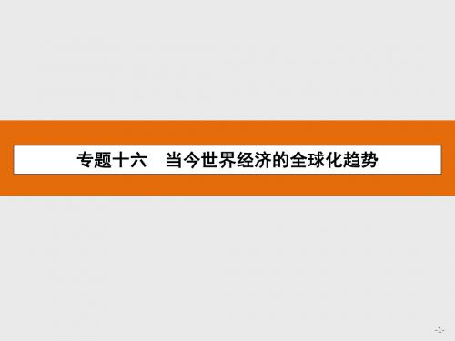 浙江省2018年高考历史总复习名师课件：专题十六 当今世界经济的全球化趋势(共11张PPT)