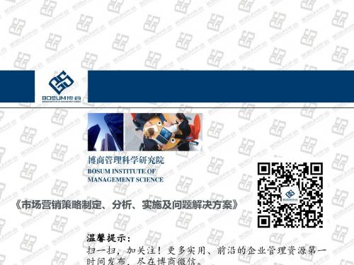 市场营销策略制定分析实施及问题解决方案ppt