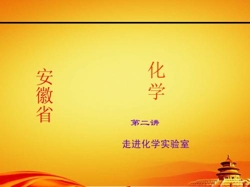 (安徽省)中考化学总复习课件【第2讲】走进化学实验室