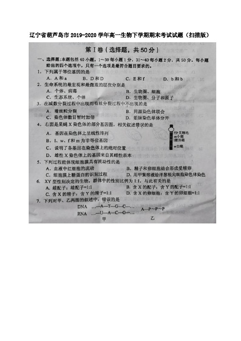 辽宁省葫芦岛市2019_2020学年高一生物下学期期末考试试题扫描版