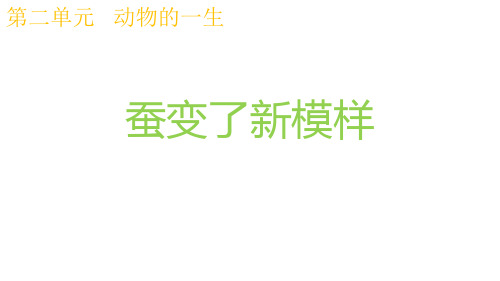 最新科教版三年级科学下册《蚕变了新模样》精品课件