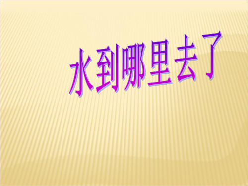 《水到哪里去了》PPT优秀课件教科版小学1