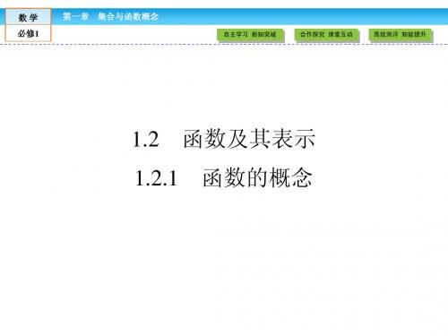 2014-2015学年高一数学必修1精品课件：1.2.1 函数的概念