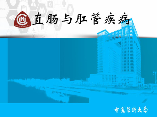 直肠肛管疾病-精品医学课件