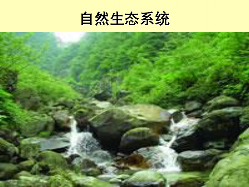 生态学基础讲义