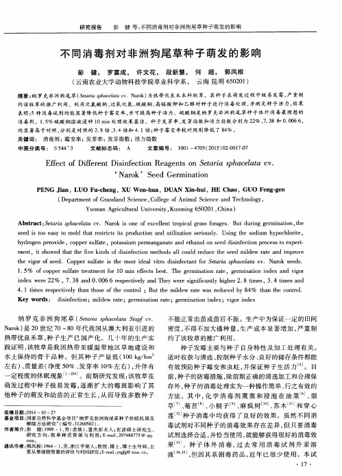 不同消毒剂对非洲狗尾草种子萌发的影响