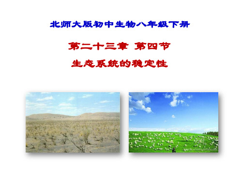 北师大版生物八年级下册23章第4节 生态系统的稳定性课件(共21张PPT)(共21张PPT)